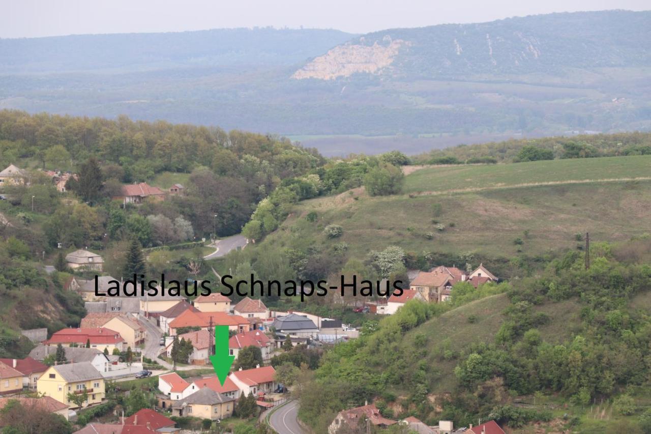 Ladislaus Schnaps-Haus Falusi Vendeghaz Csolnok Экстерьер фото