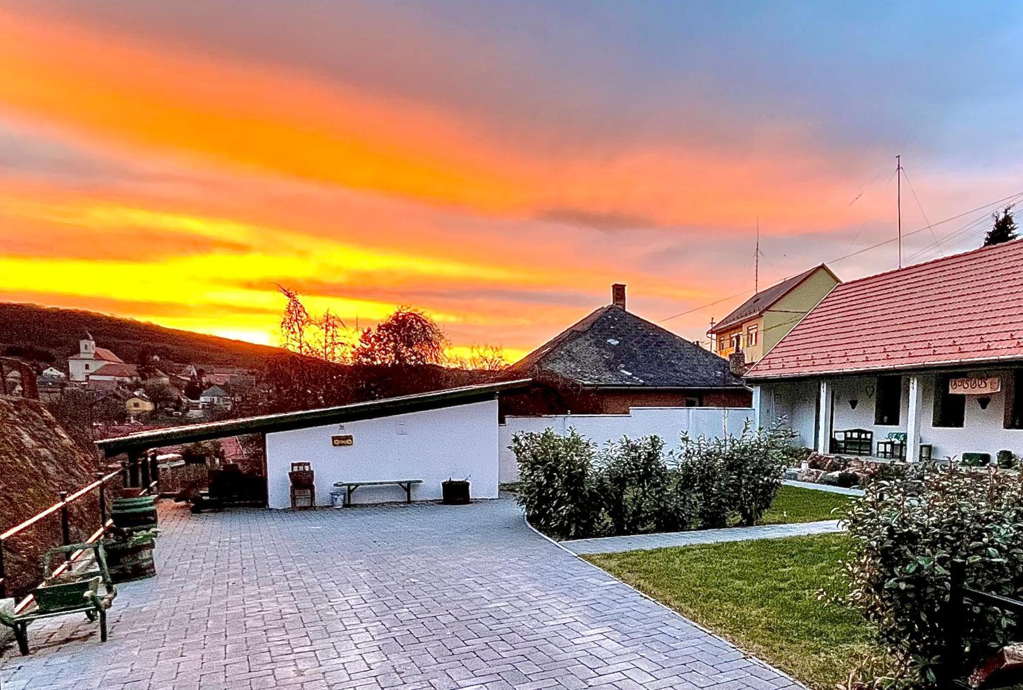 Ladislaus Schnaps-Haus Falusi Vendeghaz Csolnok Экстерьер фото